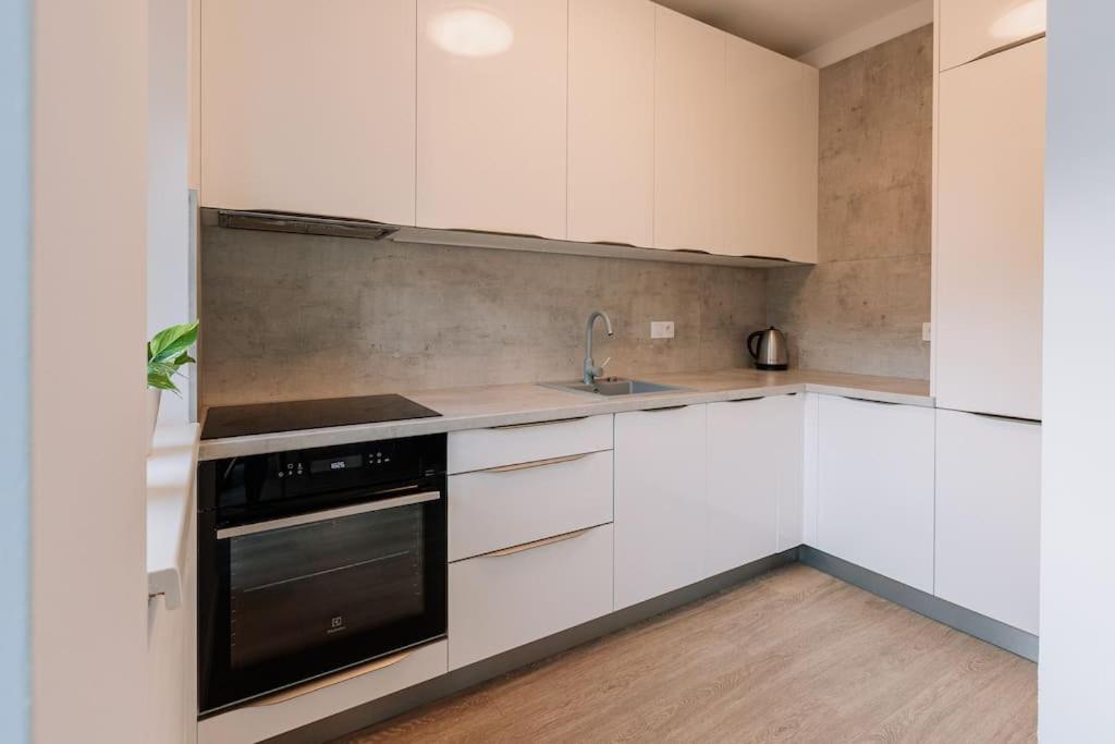 Stylish Apartment Retreat 布拉迪斯拉发 外观 照片
